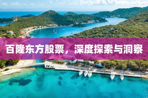 百隆东方股票，深度探索与洞察