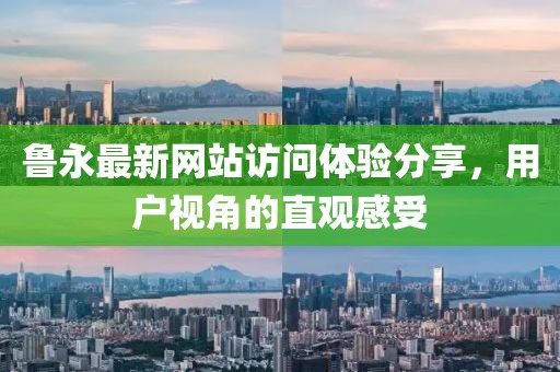 鲁永最新网站访问体验分享，用户视角的直观感受