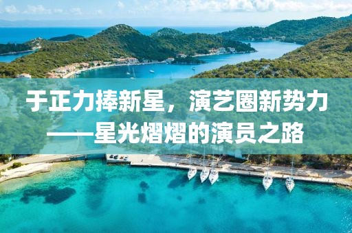 于正力捧新星，演艺圈新势力——星光熠熠的演员之路