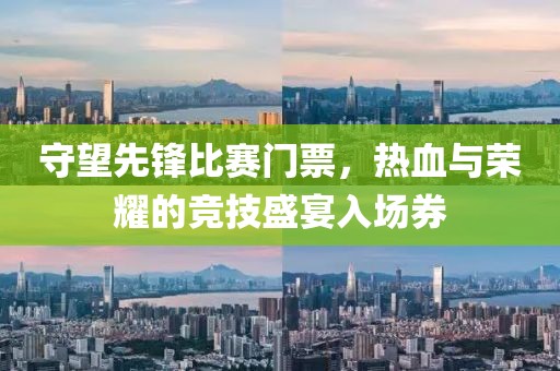 守望先锋比赛门票，热血与荣耀的竞技盛宴入场券