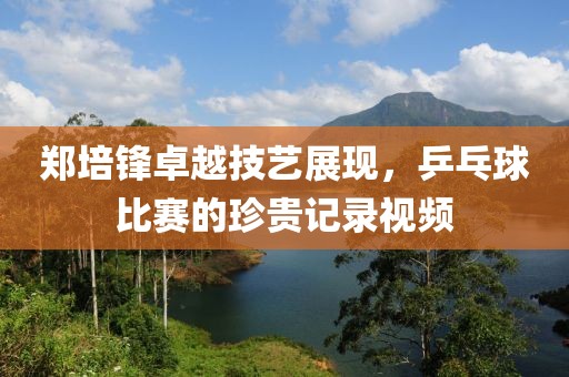 郑培锋卓越技艺展现，乒乓球比赛的珍贵记录视频