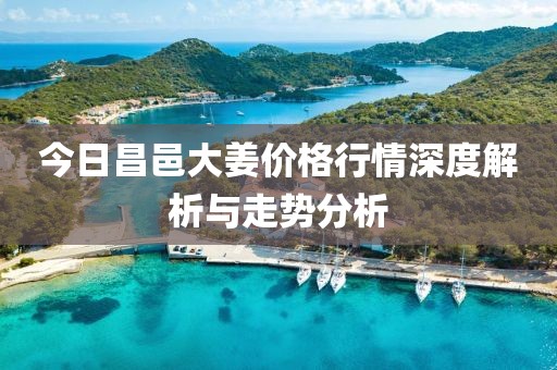 今日昌邑大姜价格行情深度解析与走势分析