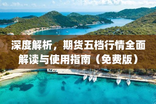深度解析，期货五档行情全面解读与使用指南（免费版）