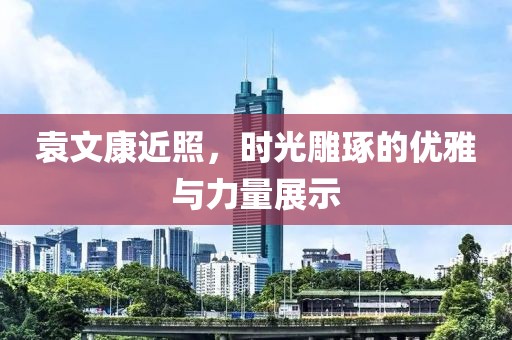 袁文康近照，时光雕琢的优雅与力量展示