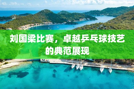刘国梁比赛，卓越乒乓球技艺的典范展现