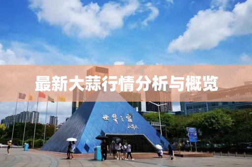 最新大蒜行情分析与概览