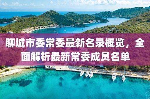 聊城市委常委最新名录概览，全面解析最新常委成员名单