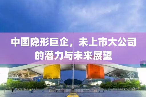 中国隐形巨企，未上市大公司的潜力与未来展望