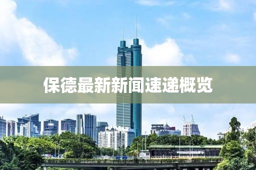 保德最新新闻速递概览