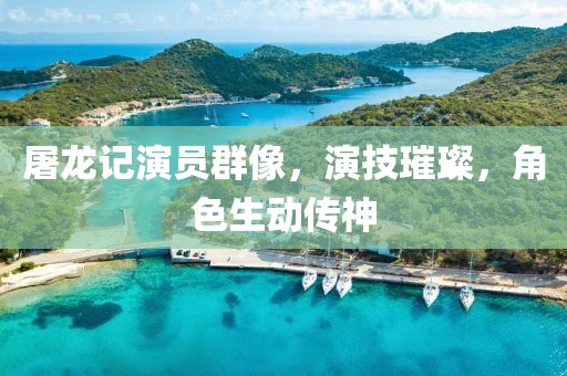 屠龙记演员群像，演技璀璨，角色生动传神