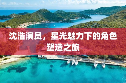 沈浩演员，星光魅力下的角色塑造之旅