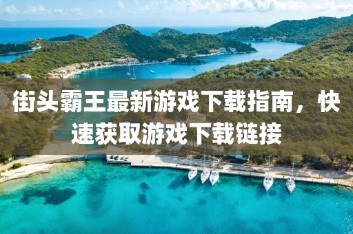 街头霸王最新游戏下载指南，快速获取游戏下载链接