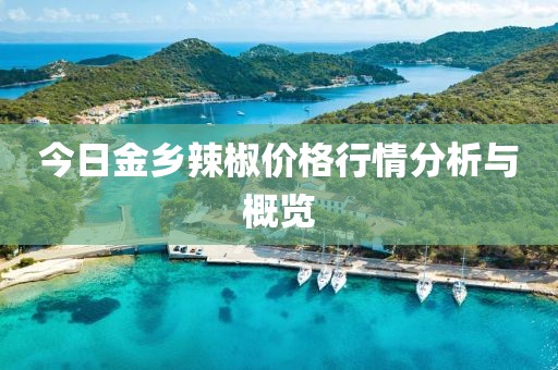 培训动态 第311页