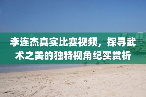 李连杰真实比赛视频，探寻武术之美的独特视角纪实赏析