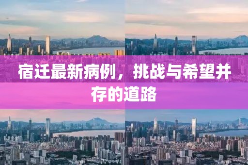 宿迁最新病例，挑战与希望并存的道路