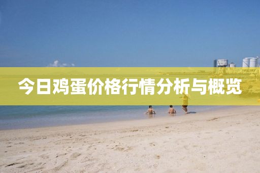 今日鸡蛋价格行情分析与概览
