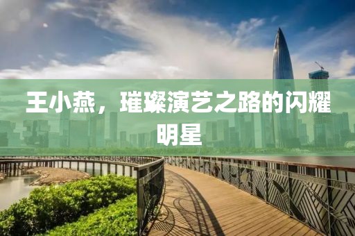 王小燕，璀璨演艺之路的闪耀明星