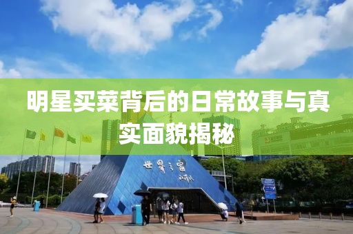 明星买菜背后的日常故事与真实面貌揭秘