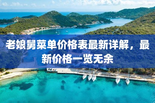 老娘舅菜单价格表最新详解，最新价格一览无余