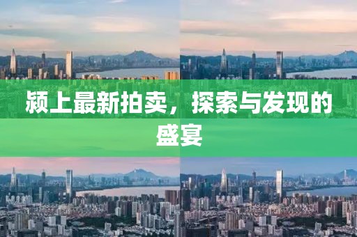 颍上最新拍卖，探索与发现的盛宴
