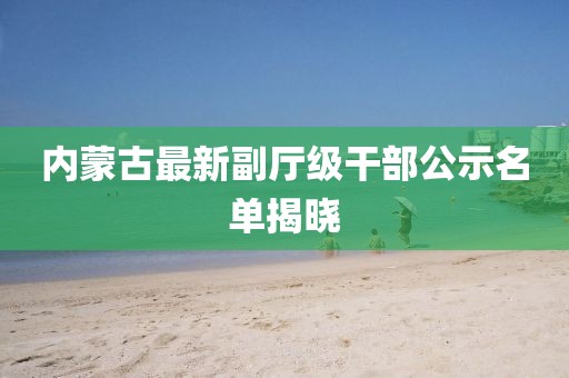 内蒙古最新副厅级干部公示名单揭晓