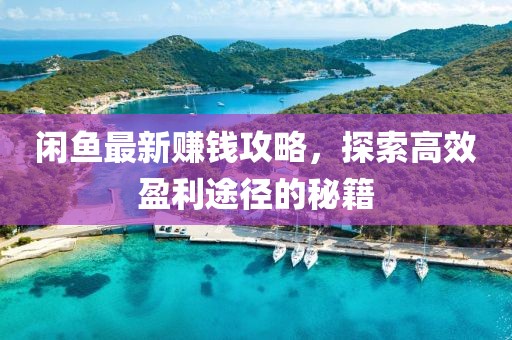闲鱼最新赚钱攻略，探索高效盈利途径的秘籍
