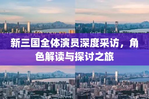新三国全体演员深度采访，角色解读与探讨之旅