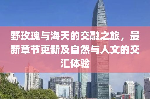 野玫瑰与海天的交融之旅，最新章节更新及自然与人文的交汇体验
