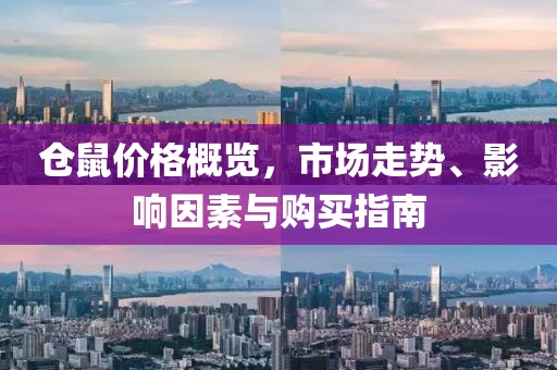 仓鼠价格概览，市场走势、影响因素与购买指南