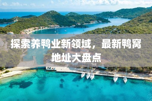 探索养鸭业新领域，最新鸭窝地址大盘点
