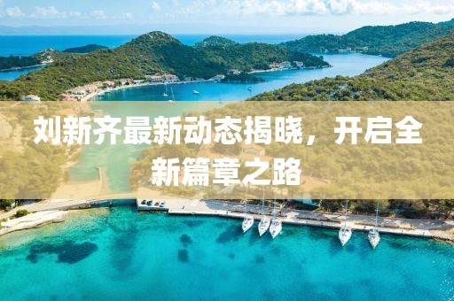 刘新齐最新动态揭晓，开启全新篇章之路