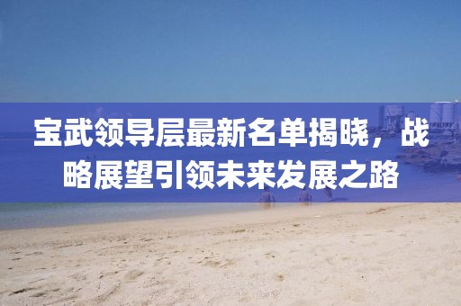 宝武领导层最新名单揭晓，战略展望引领未来发展之路
