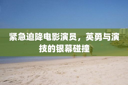 紧急迫降电影演员，英勇与演技的银幕碰撞