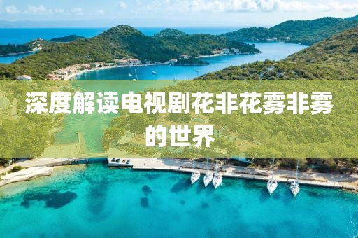 深度解读电视剧花非花雾非雾的世界