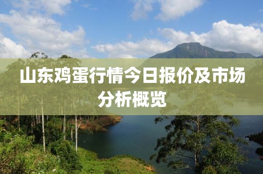 山东鸡蛋行情今日报价及市场分析概览