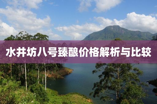 水井坊八号臻酿价格解析与比较