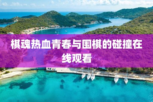 棋魂热血青春与围棋的碰撞在线观看