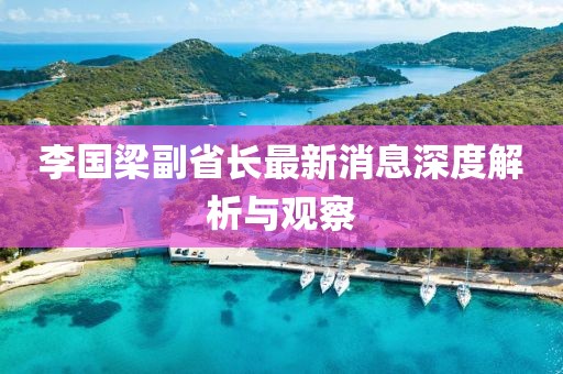 李国梁副省长最新消息深度解析与观察