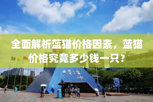全面解析蓝猫价格因素，蓝猫价格究竟多少钱一只？