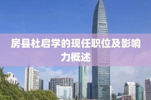 房县杜启学的现任职位及影响力概述