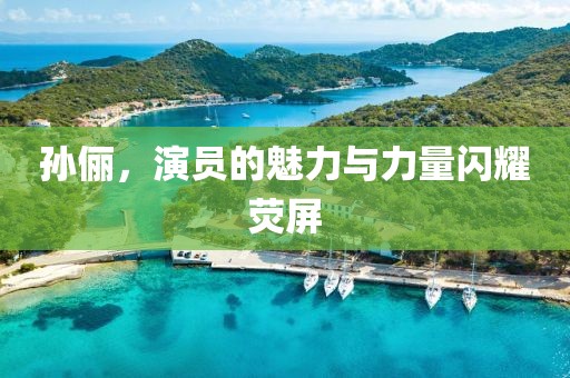 孙俪，演员的魅力与力量闪耀荧屏