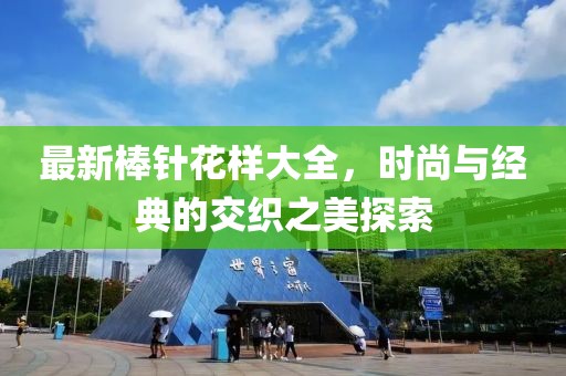 最新棒针花样大全，时尚与经典的交织之美探索