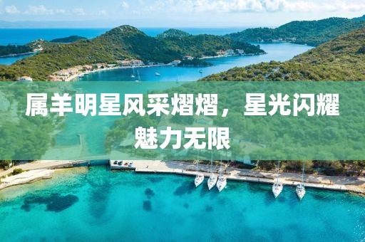 属羊明星风采熠熠，星光闪耀魅力无限