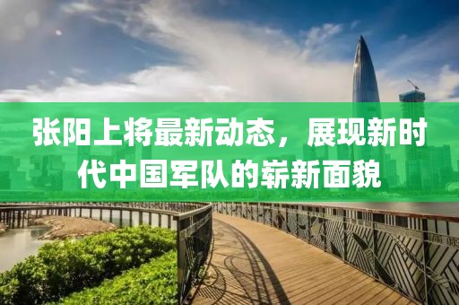张阳上将最新动态，展现新时代中国军队的崭新面貌