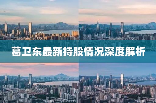 葛卫东最新持股情况深度解析