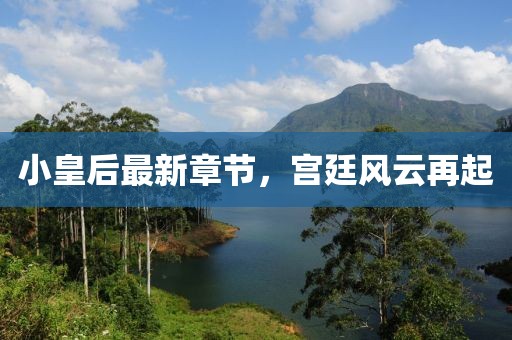 小皇后最新章节，宫廷风云再起