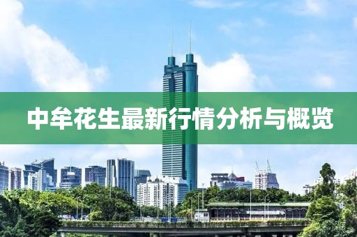 中牟花生最新行情分析与概览