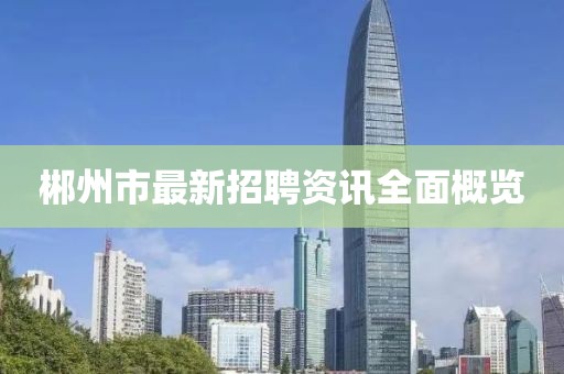 郴州市最新招聘资讯全面概览