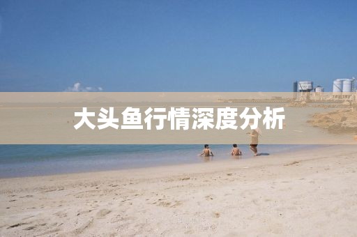 大头鱼行情深度分析