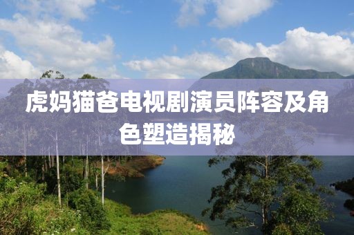 虎妈猫爸电视剧演员阵容及角色塑造揭秘